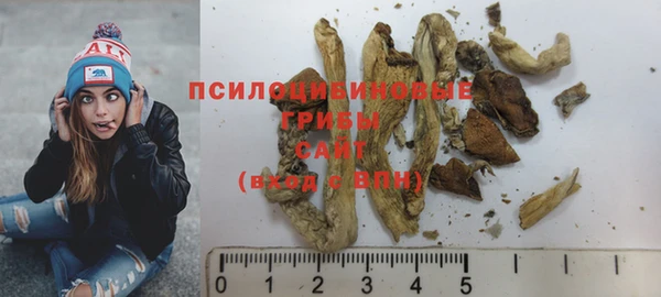 прущие грибы Алексеевка