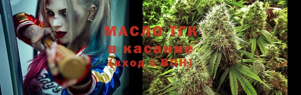 гашик Ветлуга